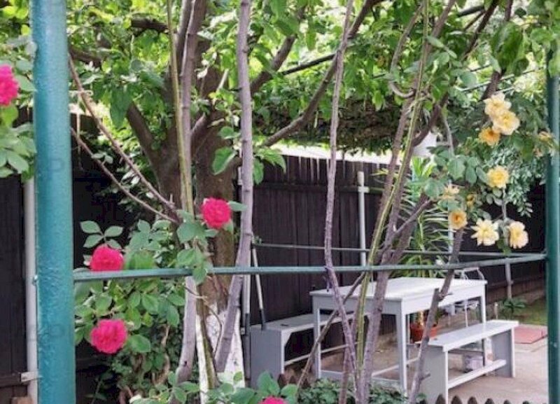 Teren cu casa demolabila din paianta Nitu Vasile- stradal.